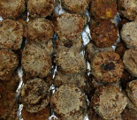 Rajma Tikki